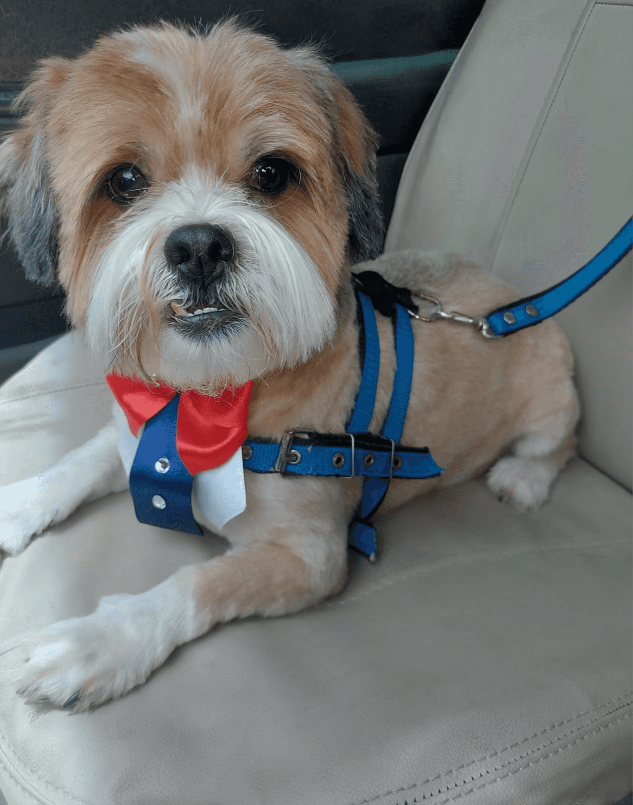 Trabalhe Conosco Image