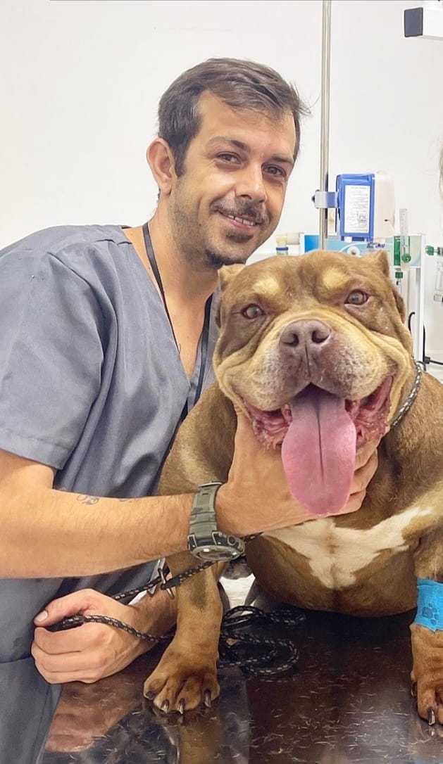 Veterinário abraçando cachorro