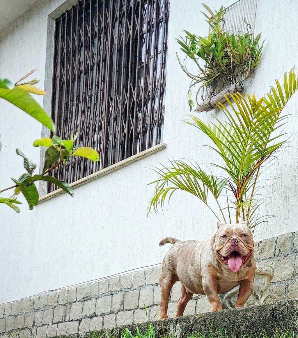 Foto da Galeria